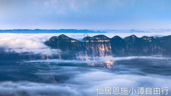 逃出茂密的丛林